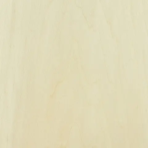 Basswood